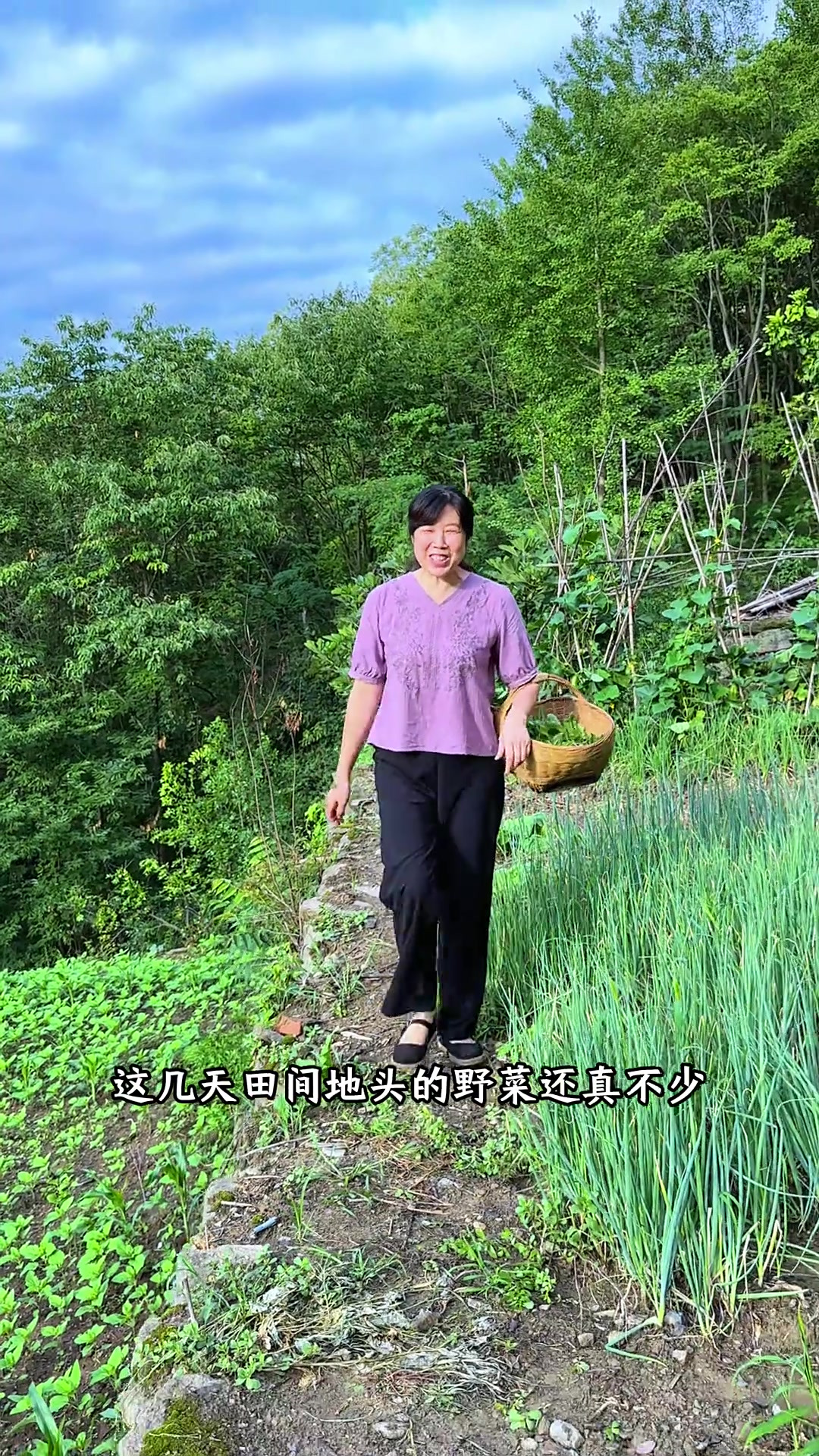 这几天田间地头野菜也不少，找一些煮火锅吃，每一口都好鲜呀