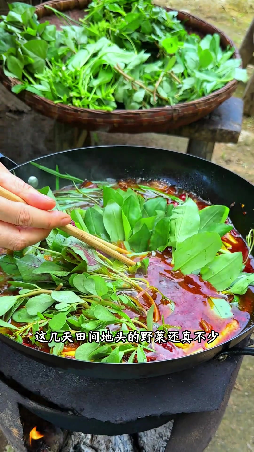 这几天田间地头野菜也不少，找一些煮火锅吃，每一口都好鲜呀