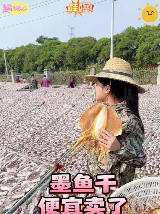 淡晒墨鱼干追求高品质的可以看下这款墨鱼肉质厚实颜色好看#墨鱼干#