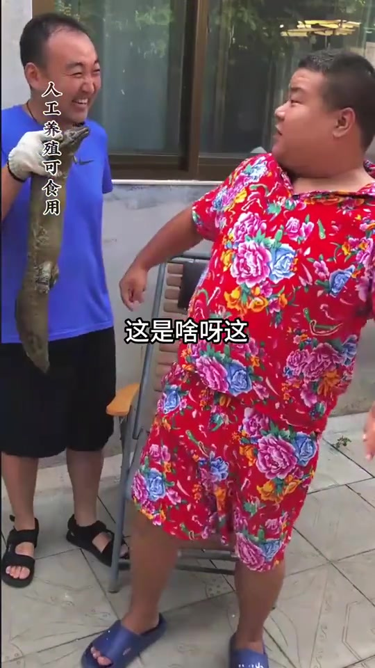 今天做的红烧娃娃鱼肉质鲜嫩,入口鲜美,真的太好吃了