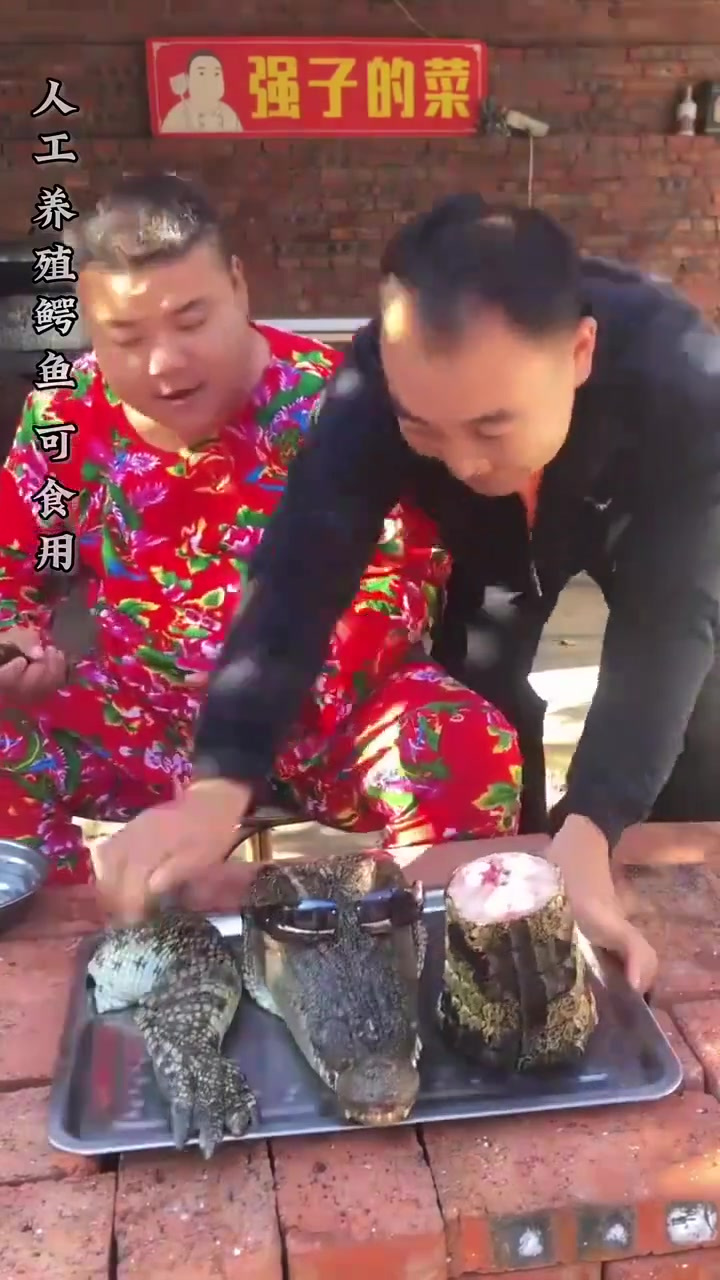 今天做鳄鱼两吃,一道剁椒鳄鱼头和香辣鳄鱼肉,味道鲜美