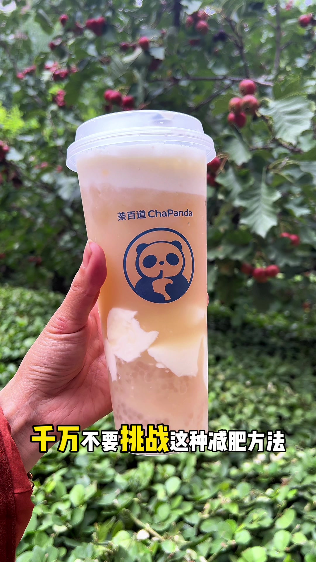 茶百道一茶两喝，低卡点单攻略