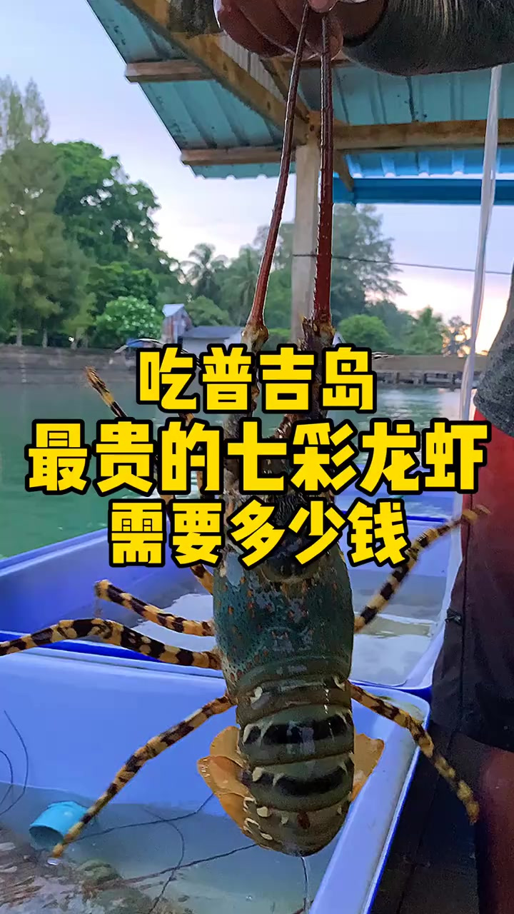 吃普吉岛最贵的龙虾，七彩龙虾，需要多少钱