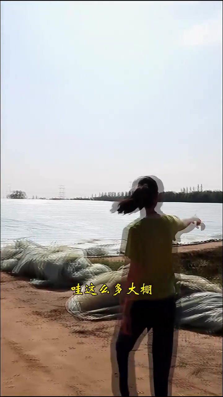 南美白对虾,让生活有滋有味