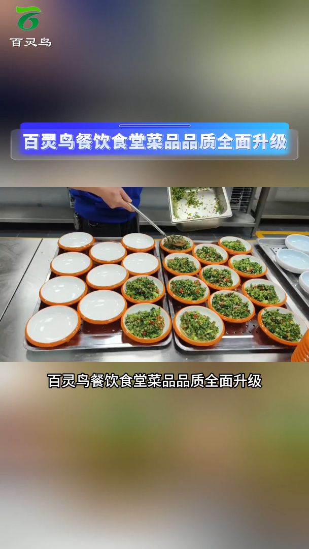 百灵鸟餐饮食堂菜品品质全面升级！营养师团队量身定制菜单，严选