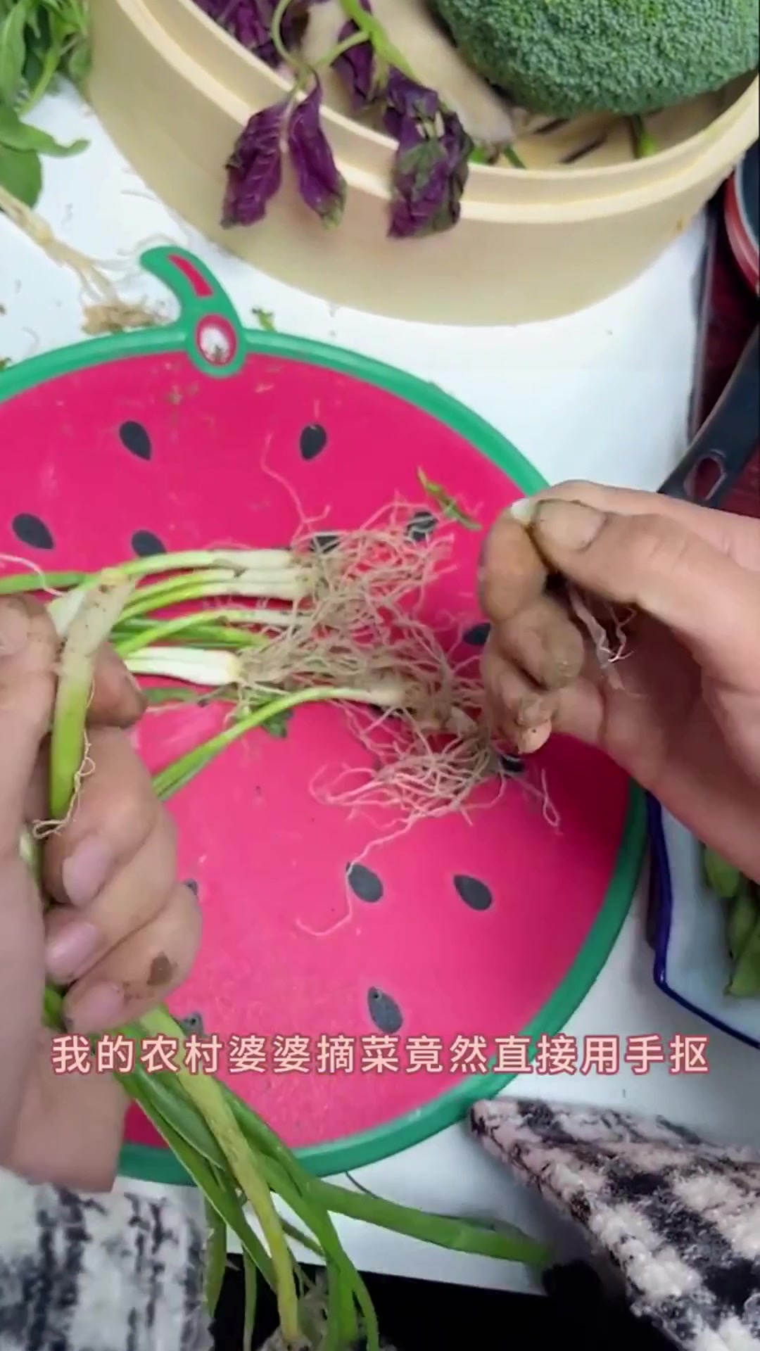 拇指刀,让摘菜成为厨房中轻松的一环