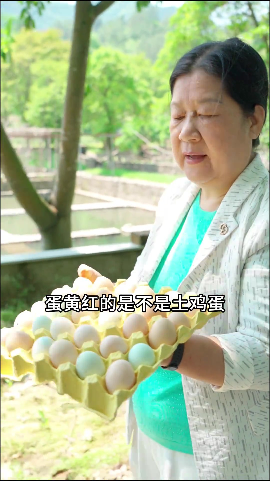 老妈教你分辨是不是土鸡蛋