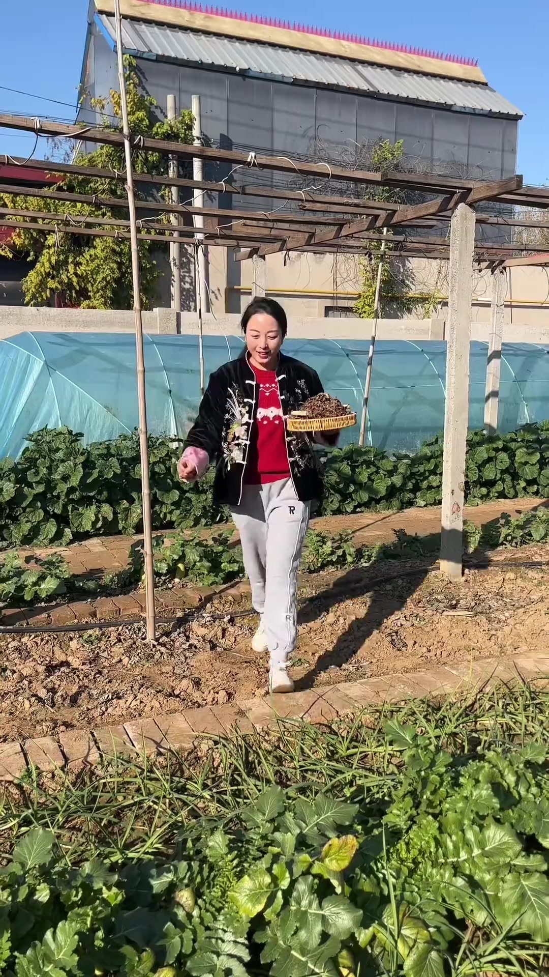 姐妹们，腌红咸菜干第一步来啦，有爱吃的赶紧做起来