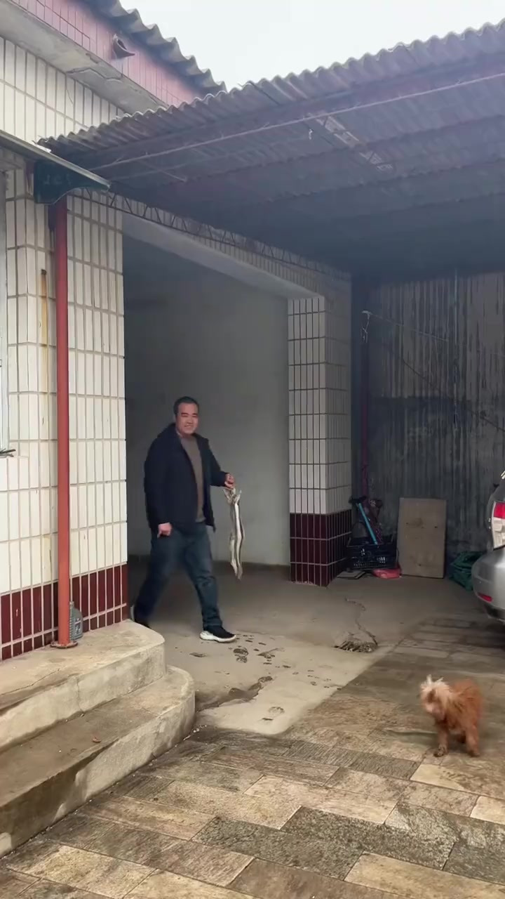 我也是第一次吃家庭版的蒲烧鳗鱼,口味跟带鱼一样啊