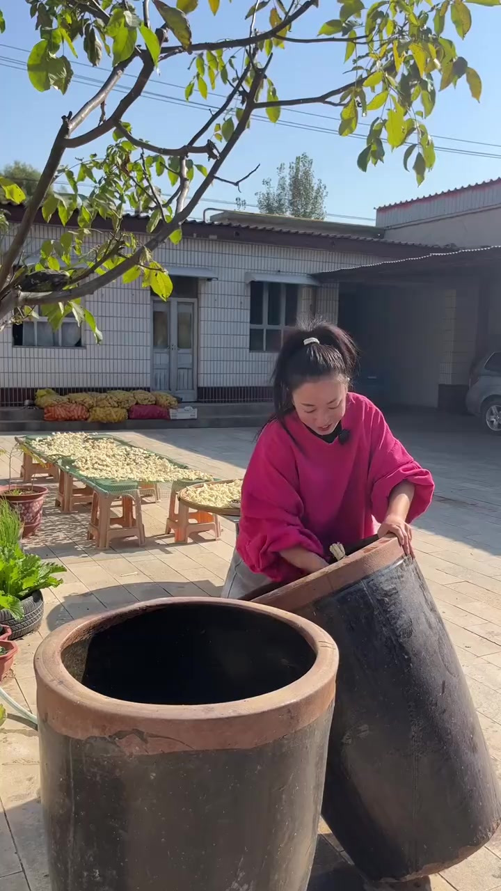 晒萝卜缨,腌萝卜,开春做卤咸菜干