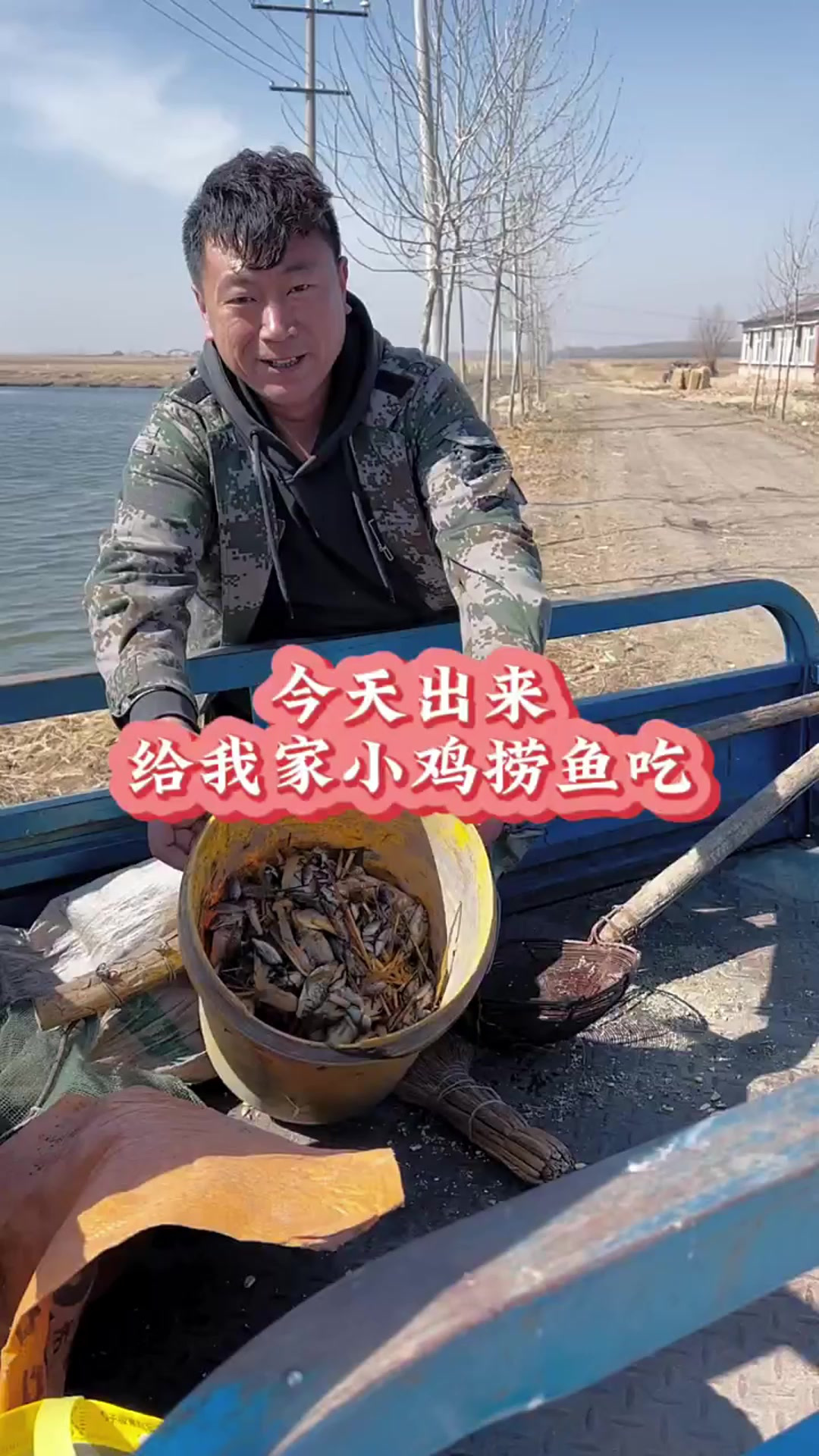 今天出来给我家小鸡捞鱼吃,小鸡吃鱼可爱下蛋了