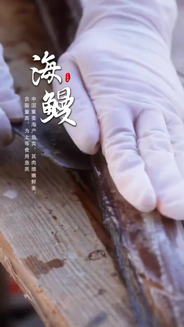 沉浸式感受，我们沿海人从晒鳗鱼干到吃鳗鱼干