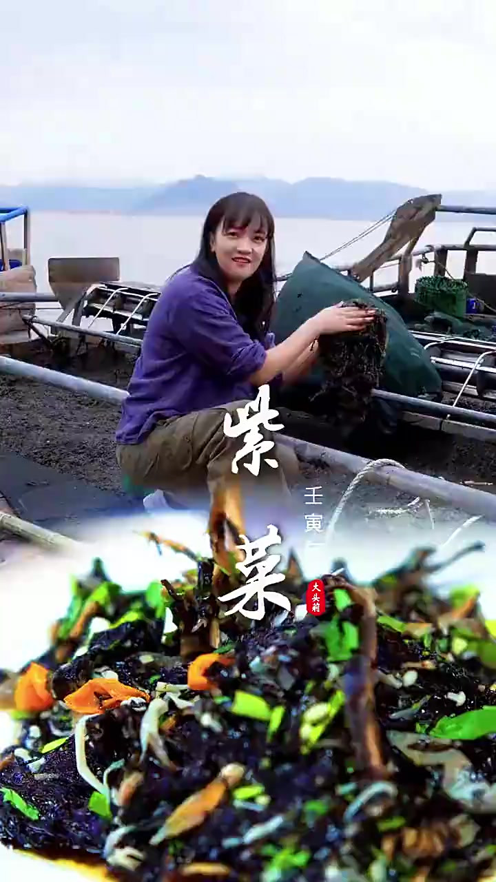 吃惯了干巴巴的紫菜,新鲜的头水紫菜你们想尝尝吗