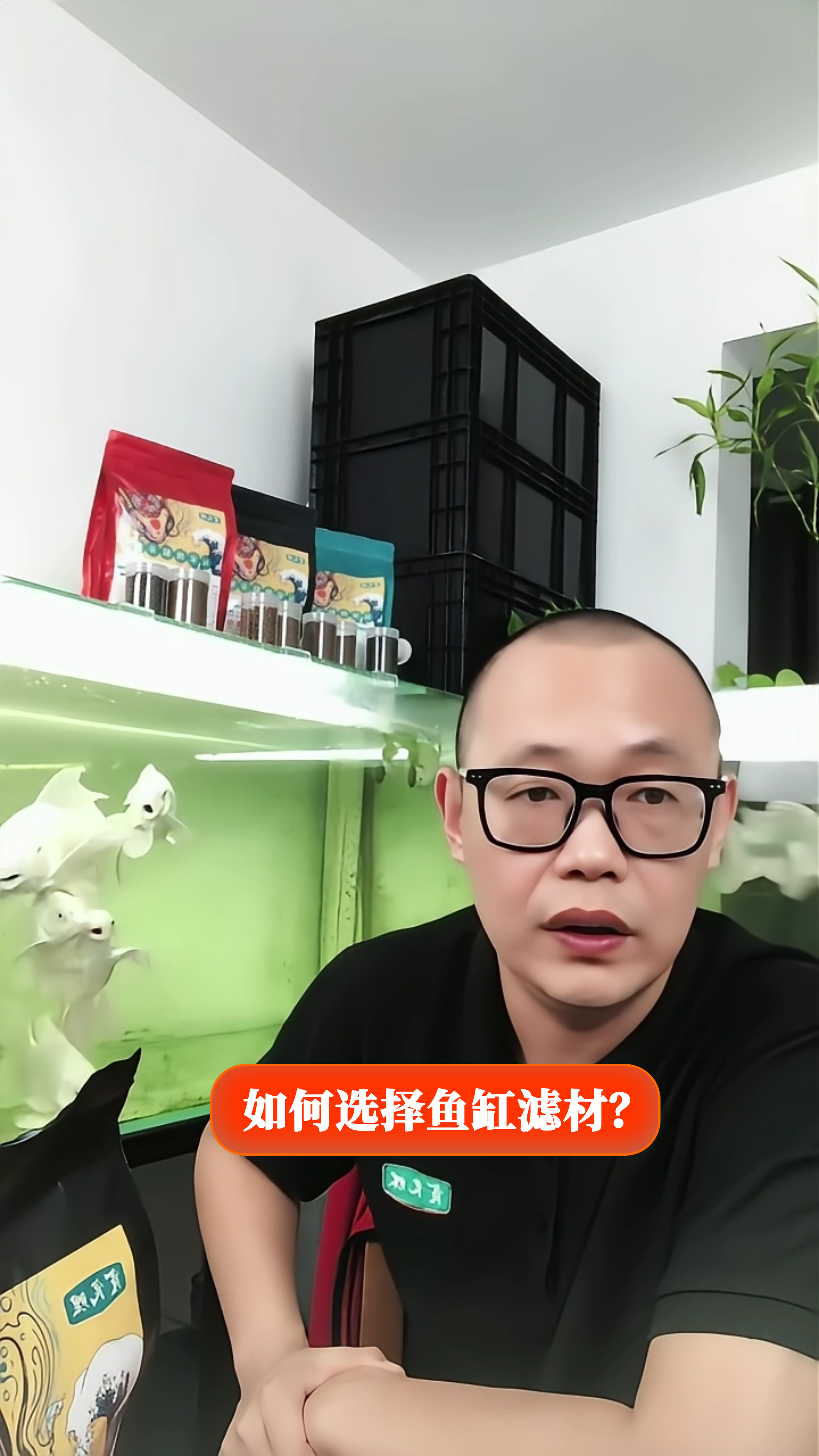 如何选择鱼缸滤材?