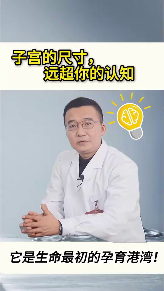 子宫的尺寸远超你的认知