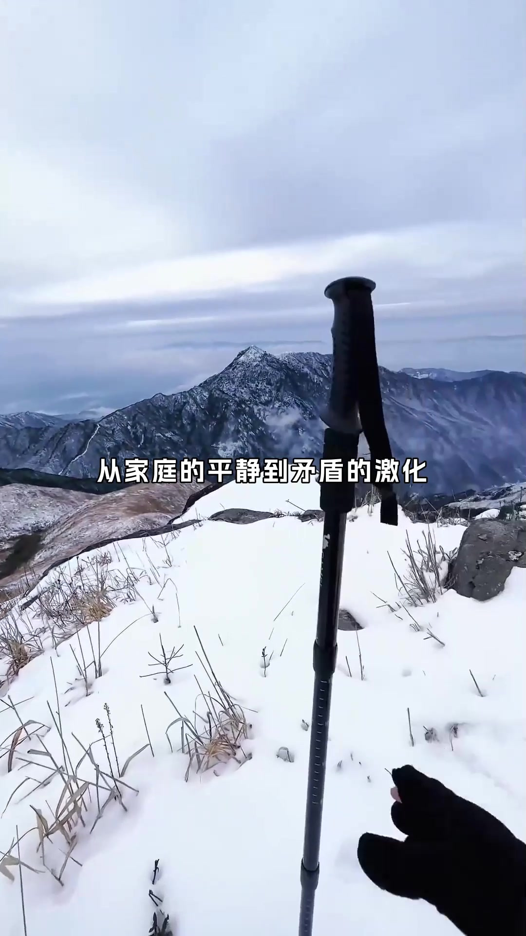 孩子的生日蛋糕样式咋选?婆媳为决策权争得不可收拾!