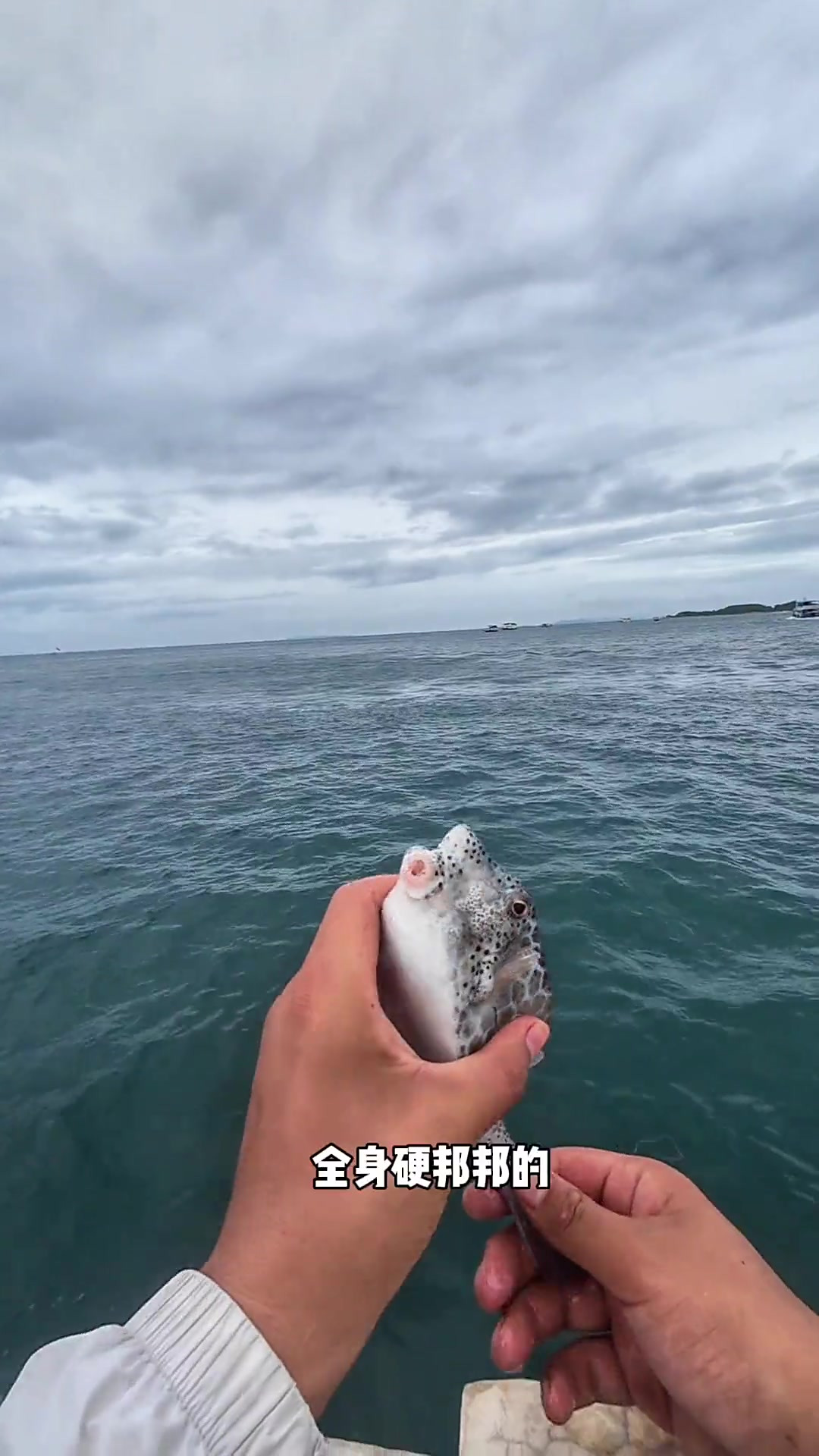 泰国海钓鱼种也太丰富了，解锁新鱼种