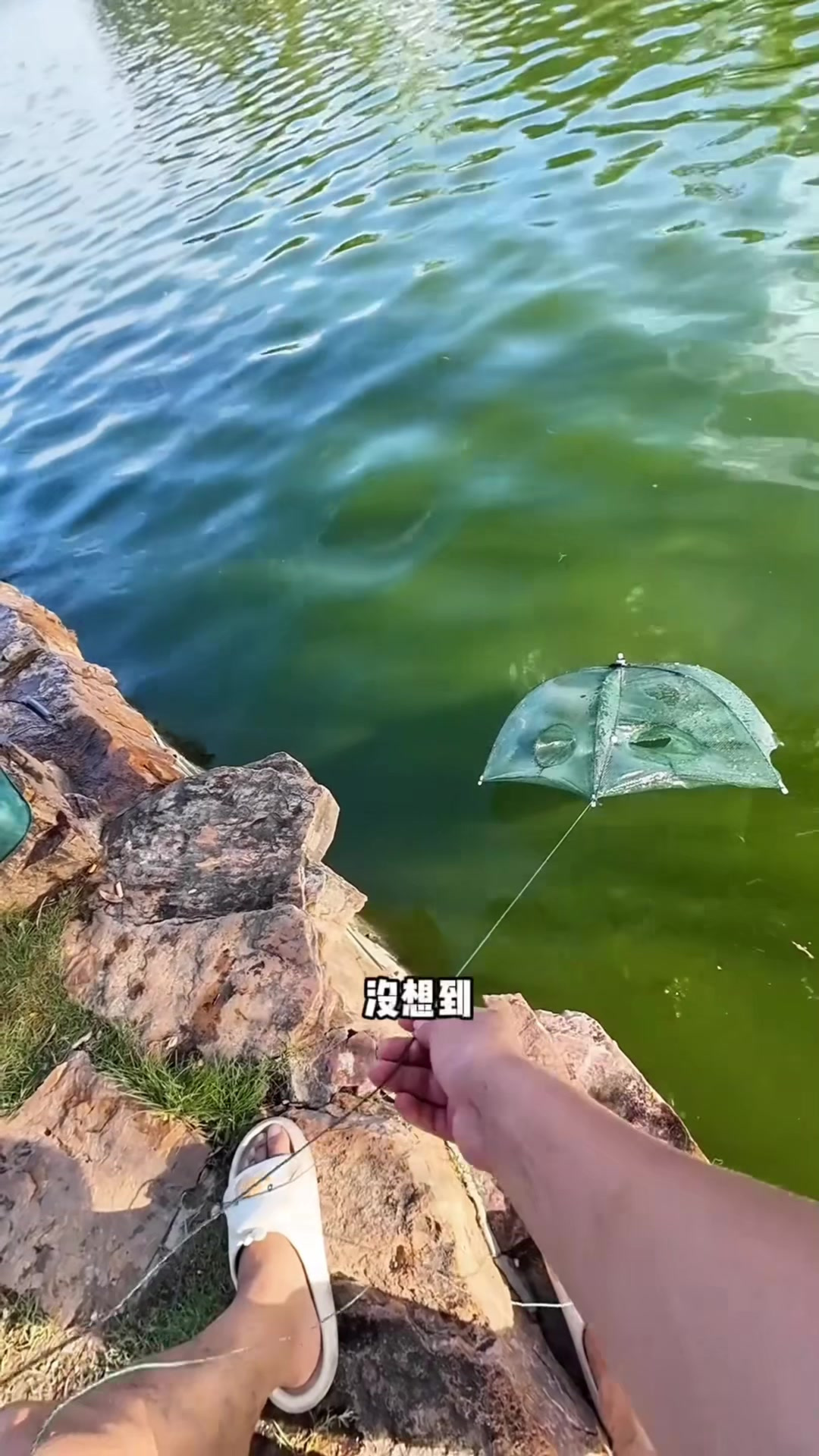 没想到室内钓虾竟然怎么爽！