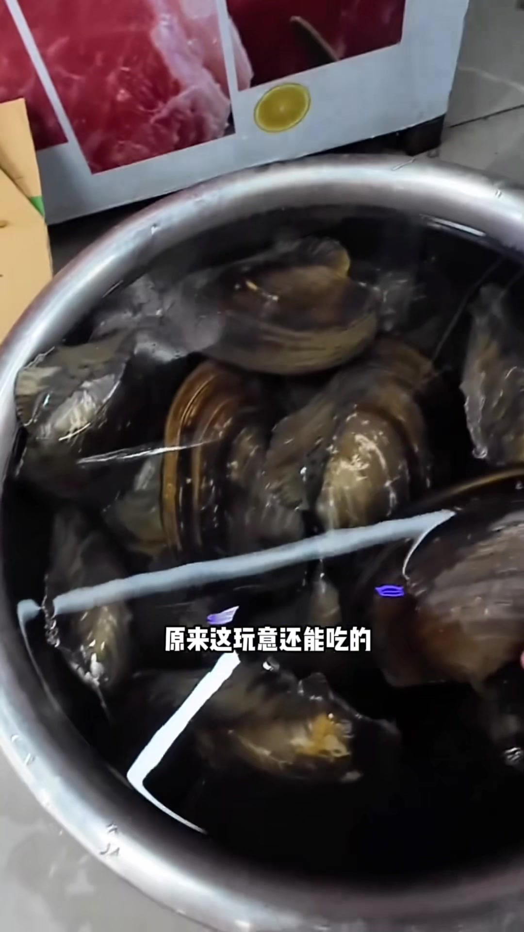 没想到室内钓虾竟然怎么爽！