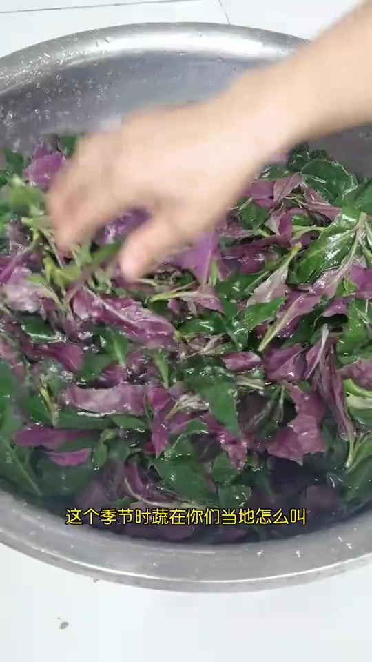 家常菜也有好味道,做上一个血皮菜炒鳝鱼,血气方刚