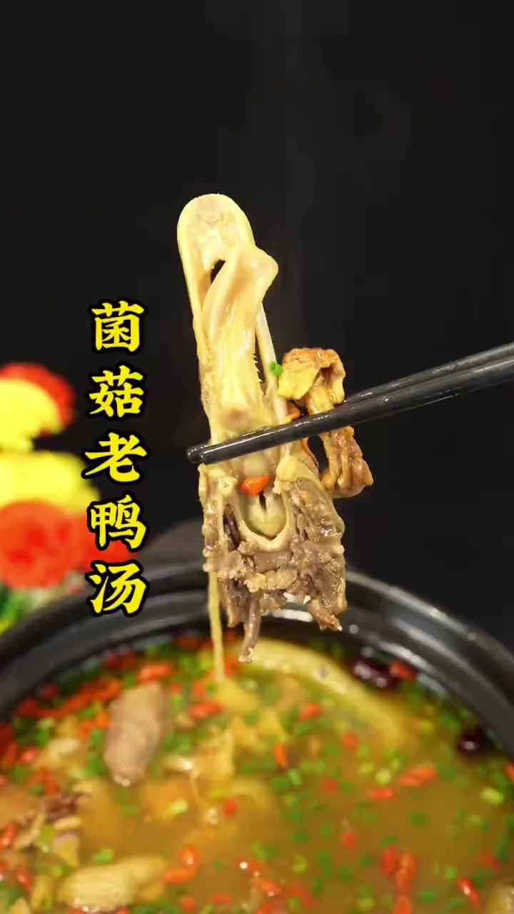 过年过节炖一锅菌菇老鸭汤,肉和汤吃完了还可以烫菜