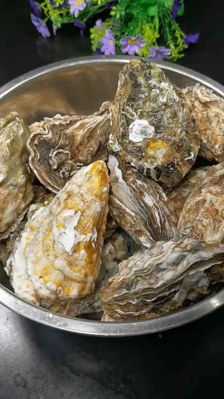 生蚝你还在用来做蒜蓉蒸了吗,教你做高压锅生蚝,比刺身更好吃