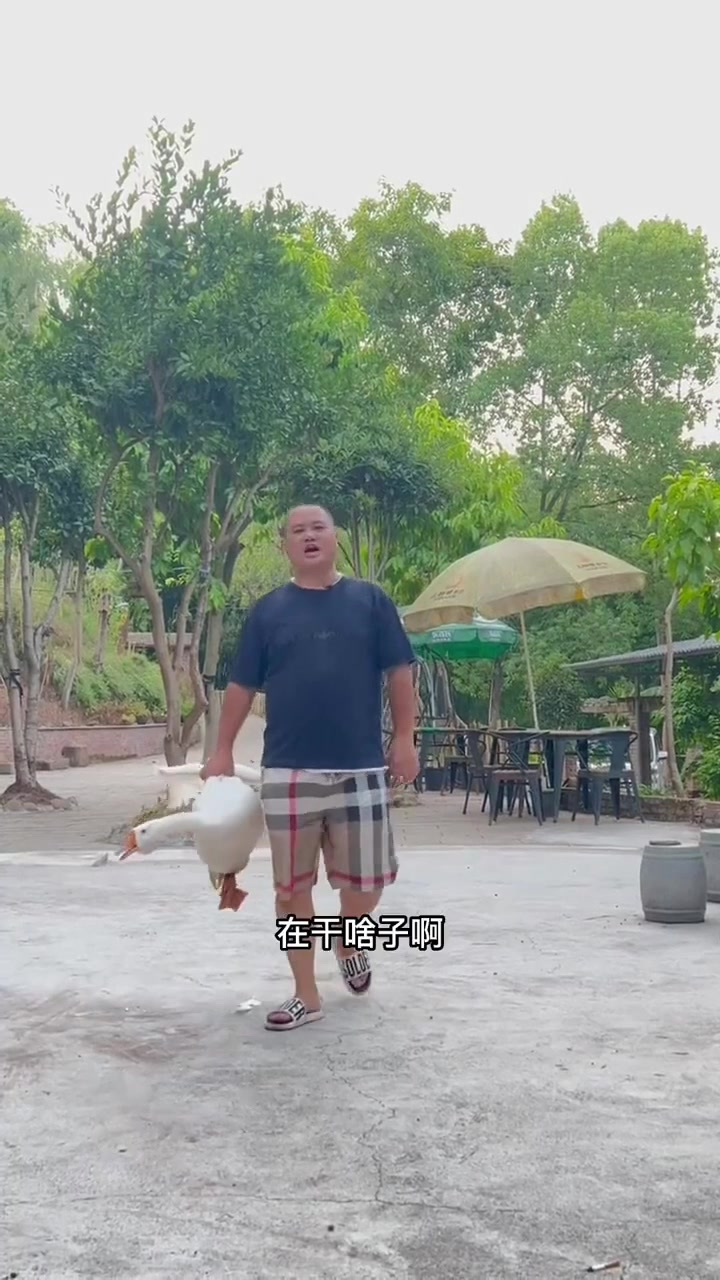 炖鹅儿汤还是做成这种酸汤的,味道好