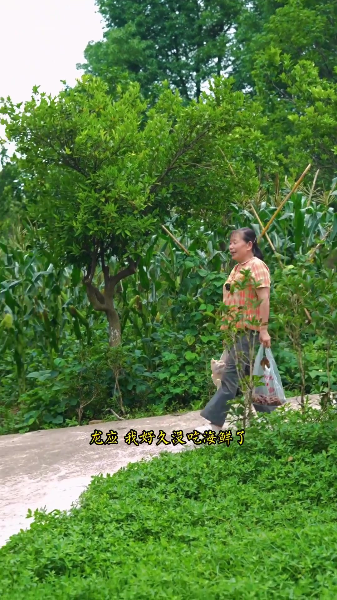 又是一道重庆江湖菜，花甲尖椒鸡，教程详细