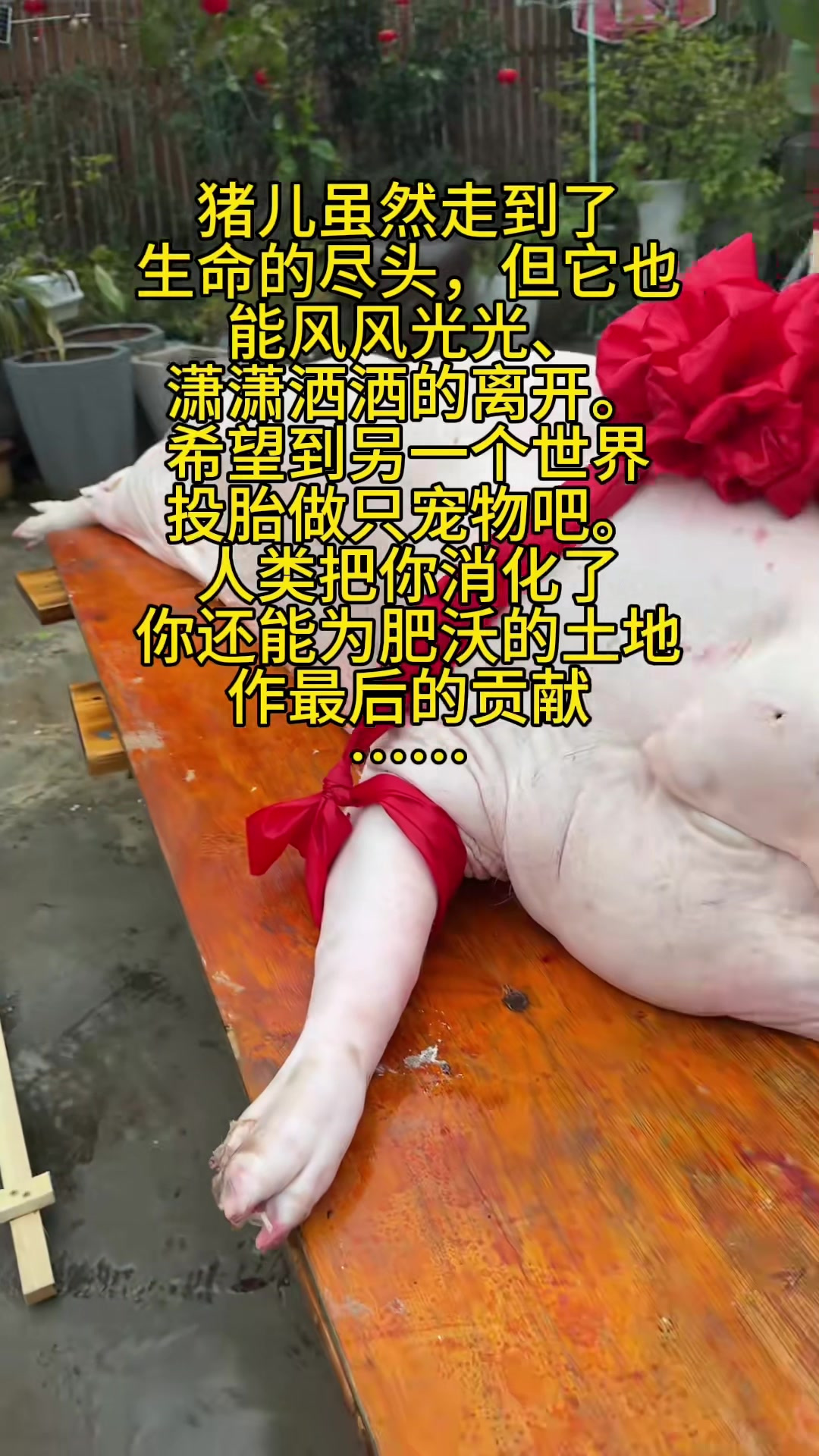 你手里有香辣蘸料，更想用来蘸什么吃呢