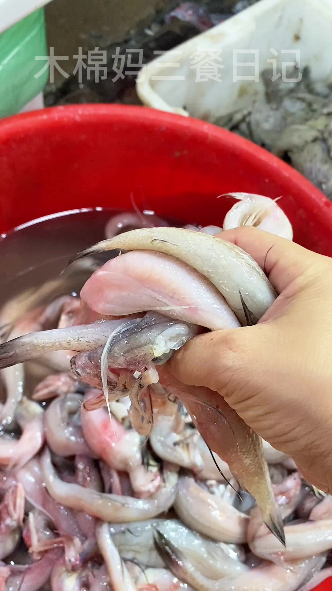 一个月生活费700，今天花10块钱做了四菜一汤