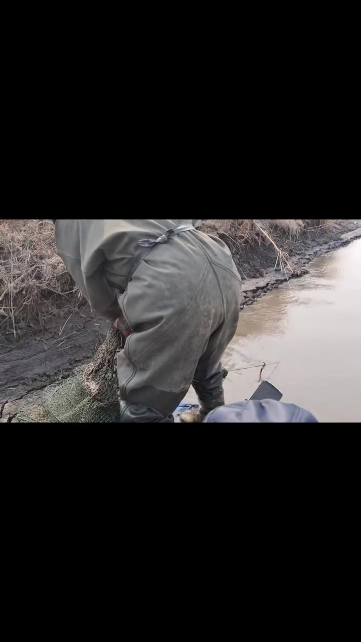 今天鱼货满满老爷子过瘾啦