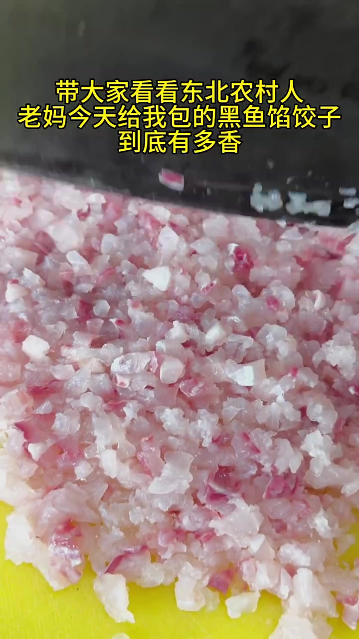 老妈今天给我包的黑鱼馅饺子,到底有多香