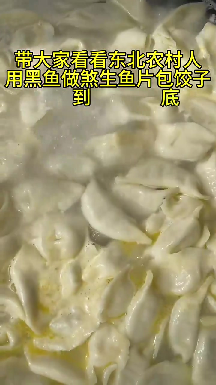 带大家看看东北农村人,用黑鱼做煞生鱼片包饺子