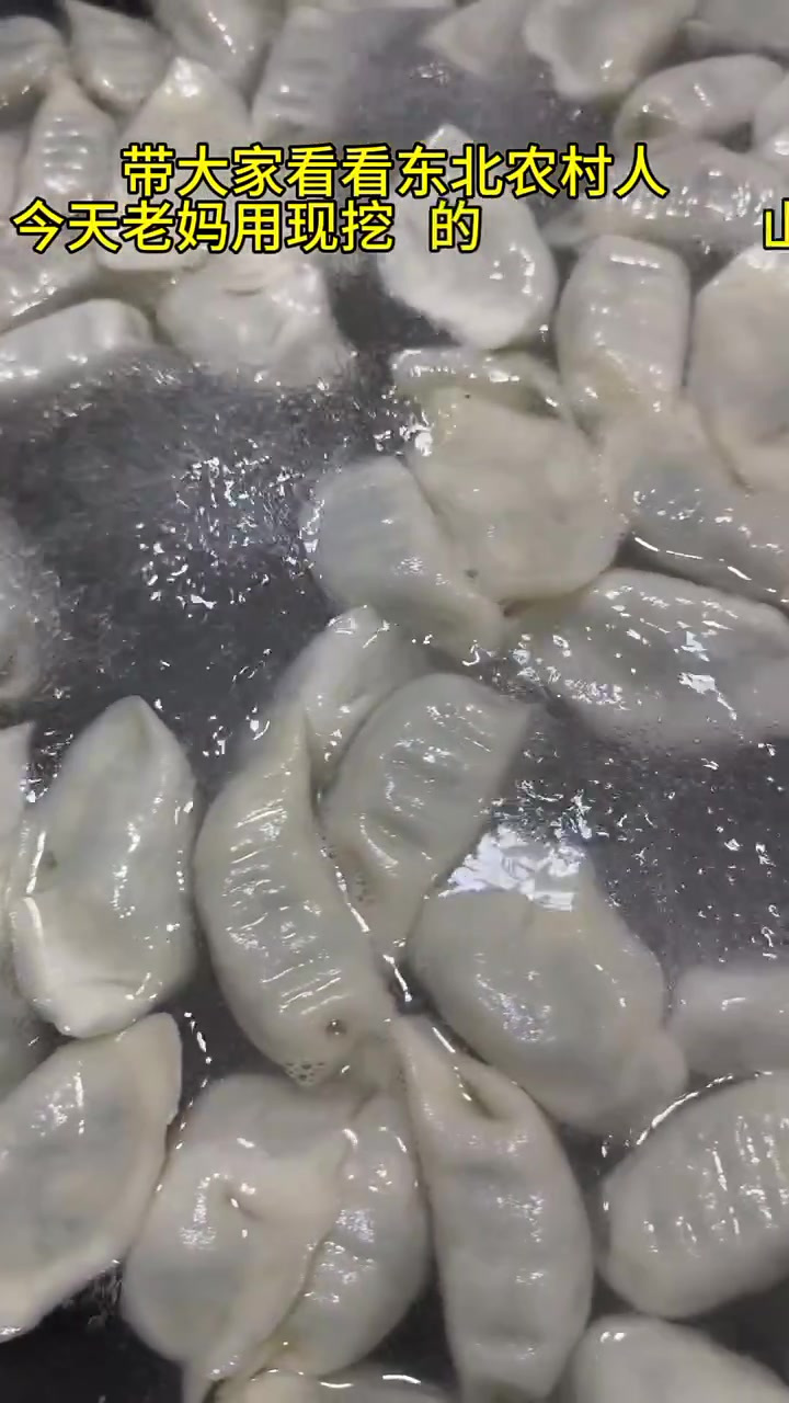 今天老妈用现挖的山韭菜，包饺子