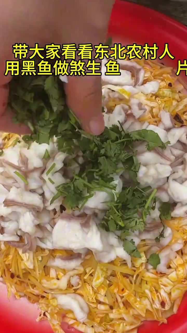 带大家看看东北农村人，用黑鱼做煞生鱼片包饺子