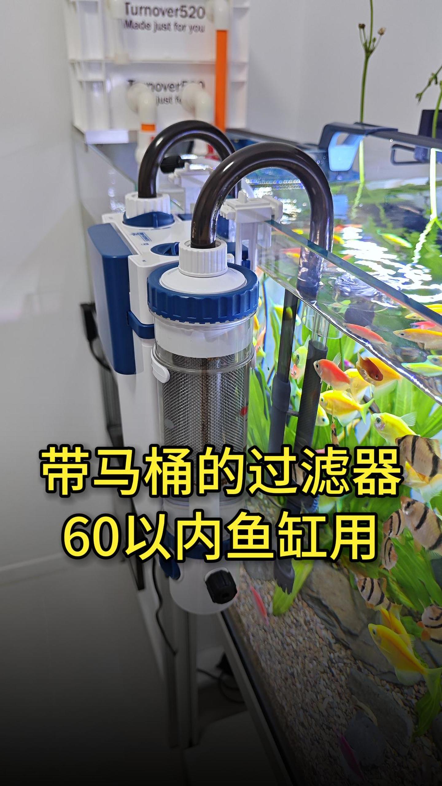 给鱼用上马桶,鱼粪便都吸走,鱼缸变干净!