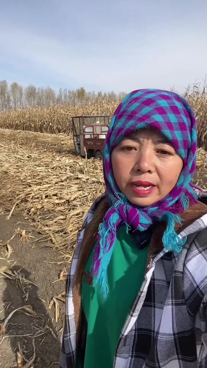 你们喜欢吃紫薯玫瑰花卷吗