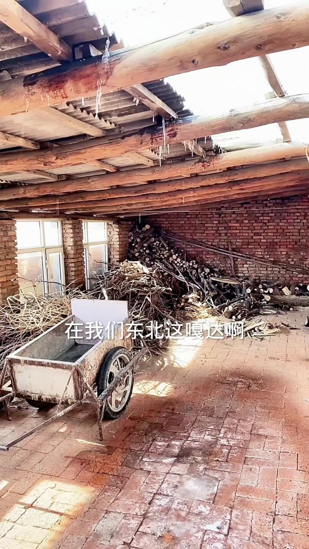 东北人的生活离不开饺子呀