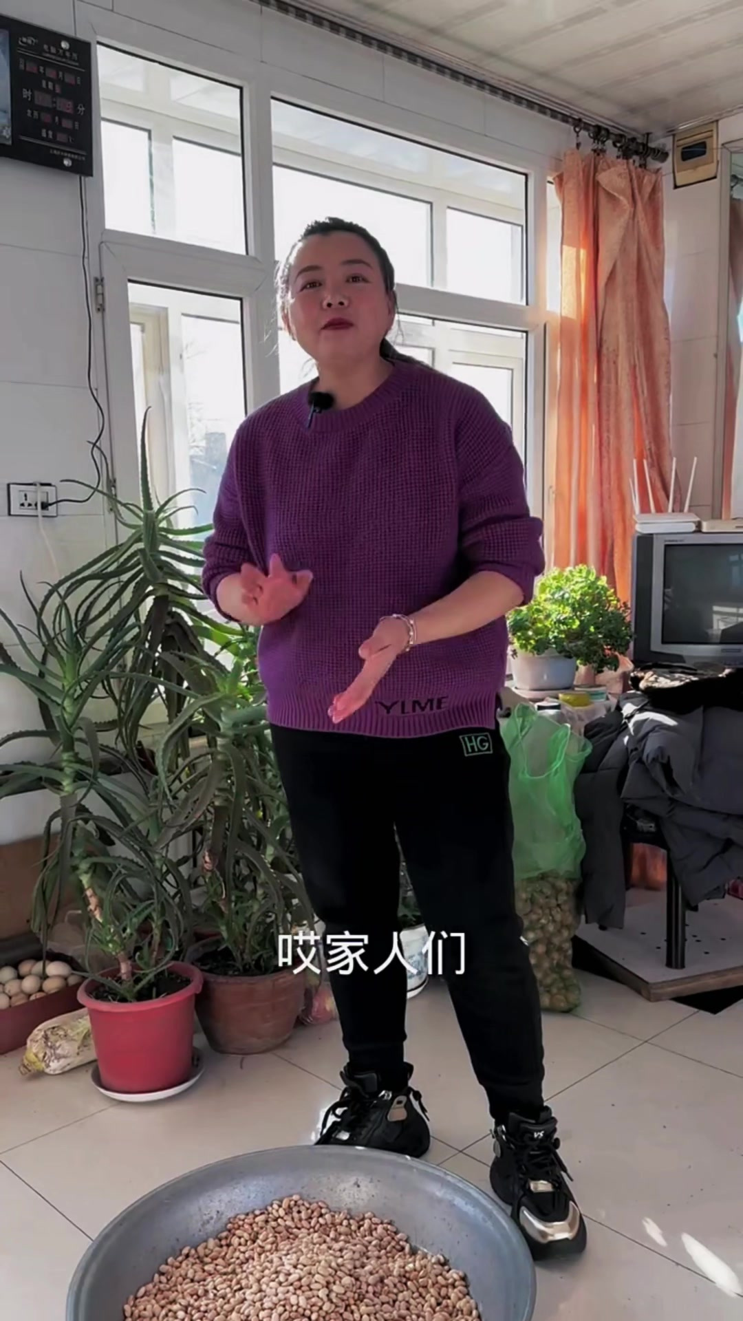 左邻右舍都来包豆包了