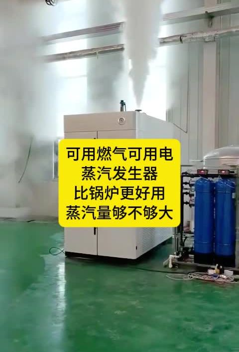 可用燃气可用电 蒸汽发生器 比锅炉更好用 蒸汽量够不够大 大型蒸汽发生器价格 燃气蒸汽发生