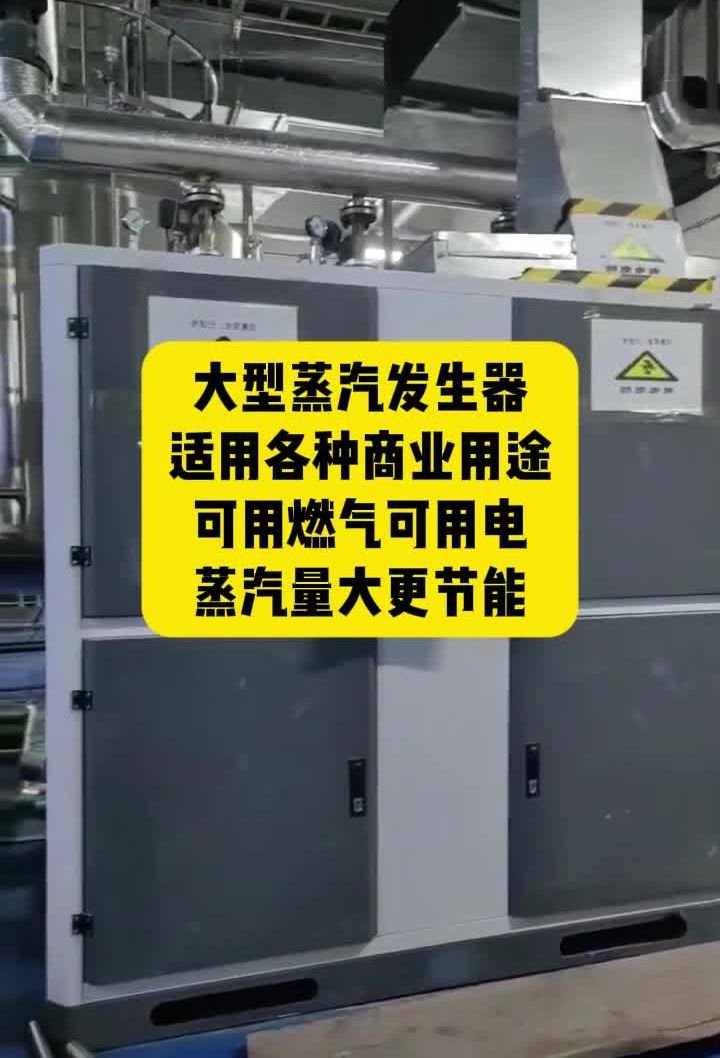 大型蒸汽发生器 适用各种商业用途 可用燃气可用电 蒸汽量大更节能 商用蒸汽发生器 大型蒸汽