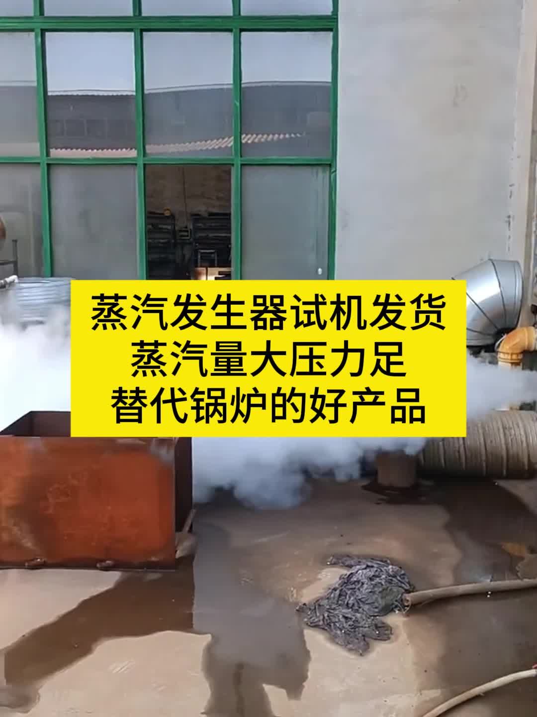 蒸汽发生器蒸汽量大压力足 替换锅炉的好产品 蒸汽发生器 燃气蒸汽发生器 电蒸发器 工业蒸汽