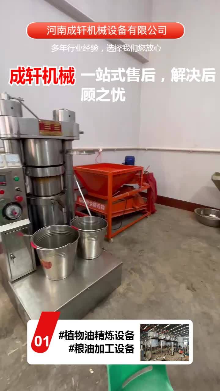 核桃油榨油设备厂家,花生油精炼设备,菜籽油精炼机器,来成