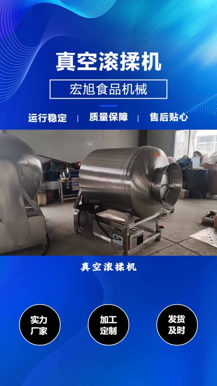 大型真空腌肉机价格