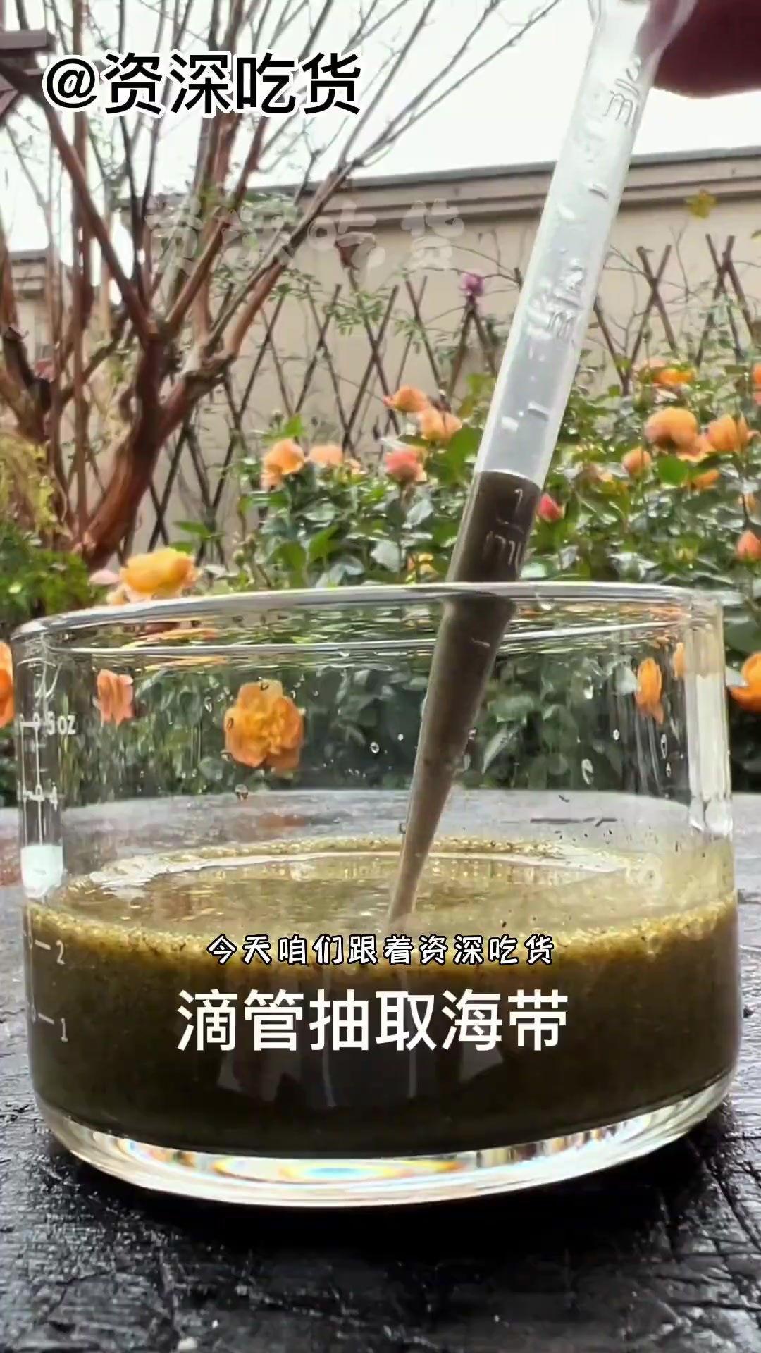 挑战用海带做鱼子酱,你们吃过真的鱼子酱嘛