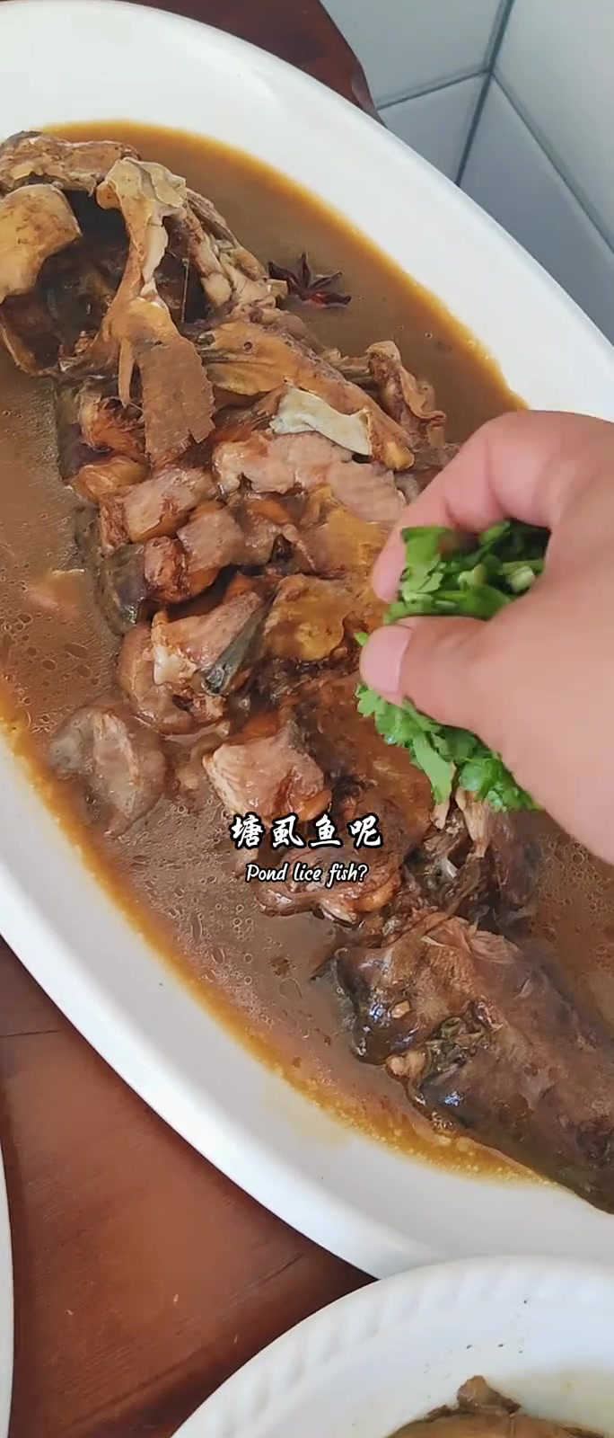 塘虱鱼又叫鲶鱼 今天教会老铁们酱炖鲶鱼