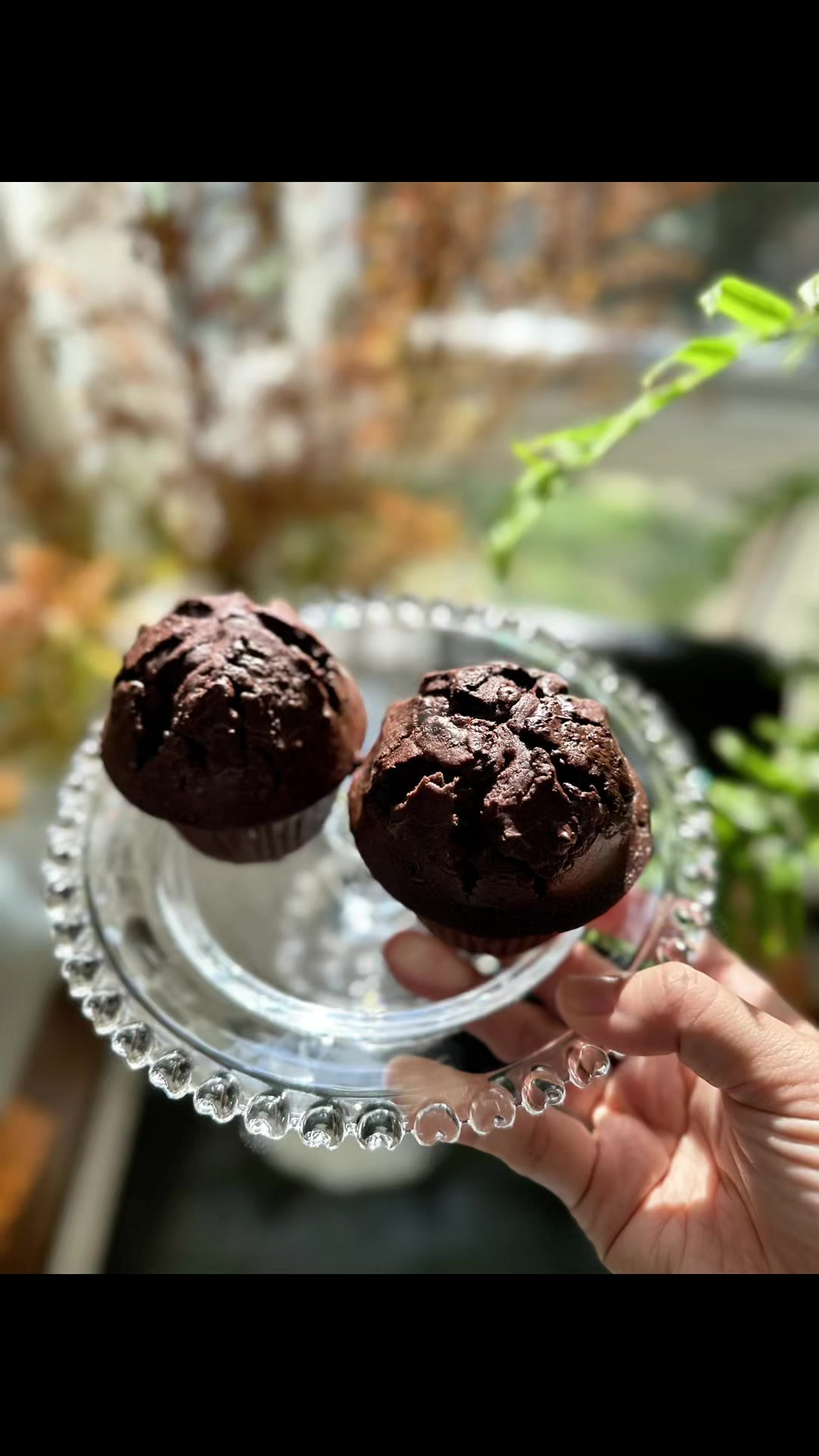 巧克力脑袋看过来，一口就爱上