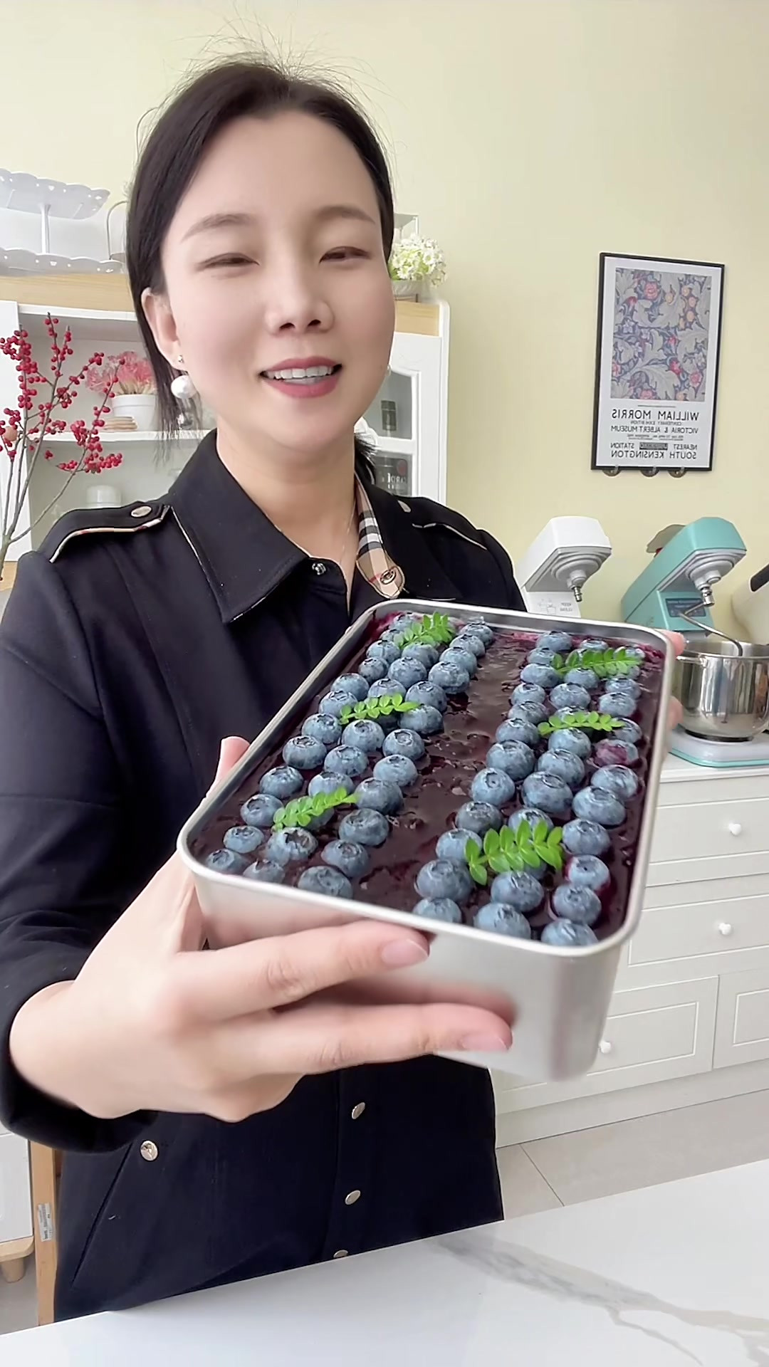 今天分享蓝莓提拉米苏家庭版做法