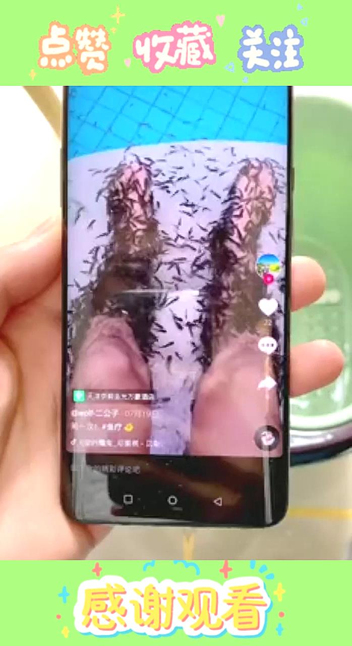 冬天就要多泡脚,自创的在家鱼疗的方法,看完你学会了吗?一定要看完哦!(1)