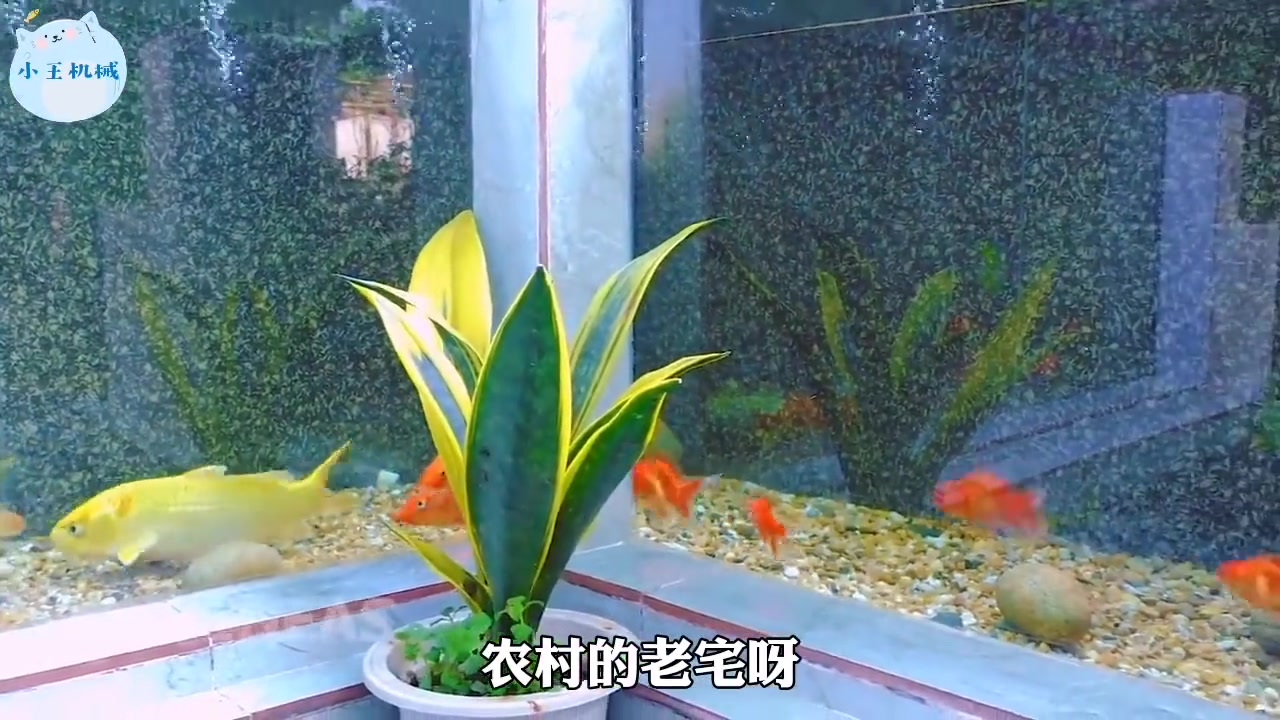 买个大鱼缸太贵了!户外探险发明制作全知道